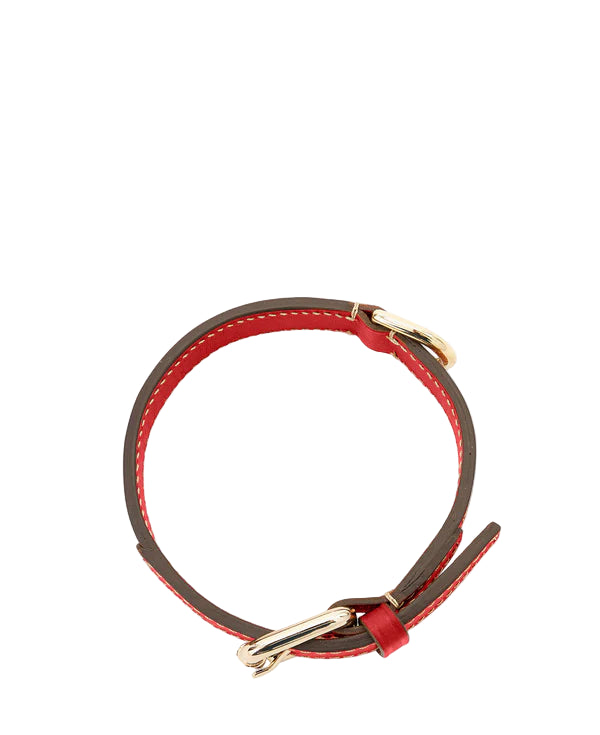 Small Red Collar