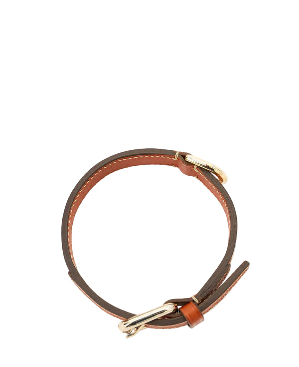 Small Golden Collar